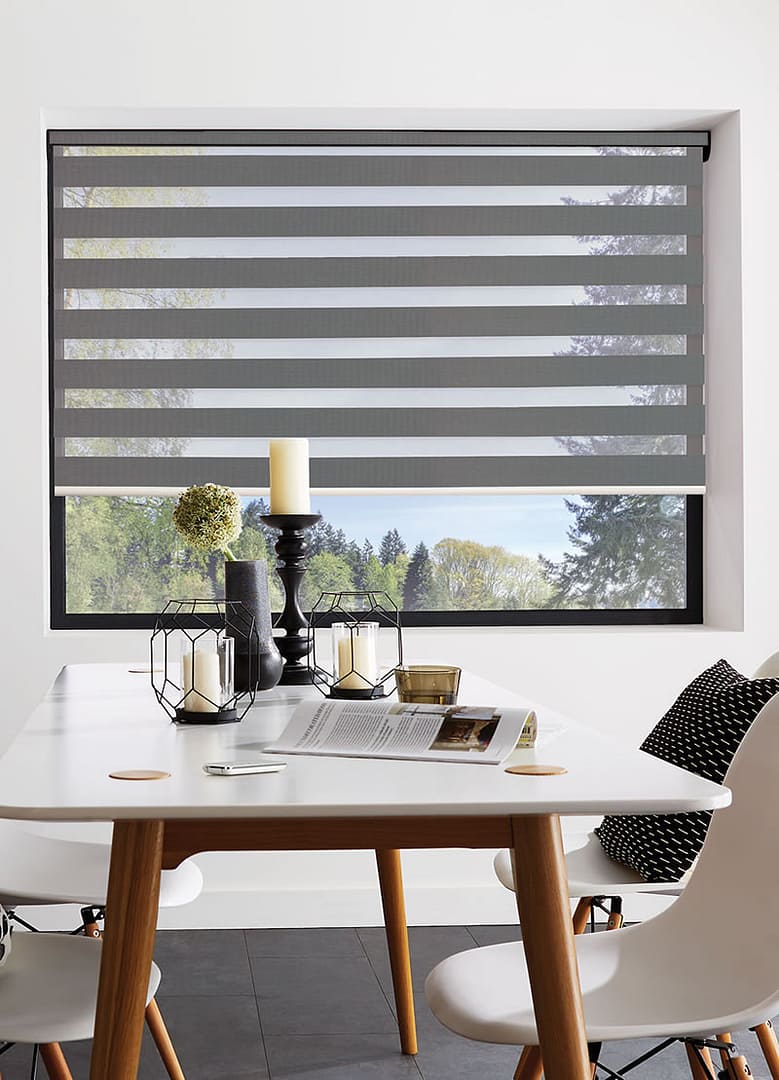 Vision Blinds